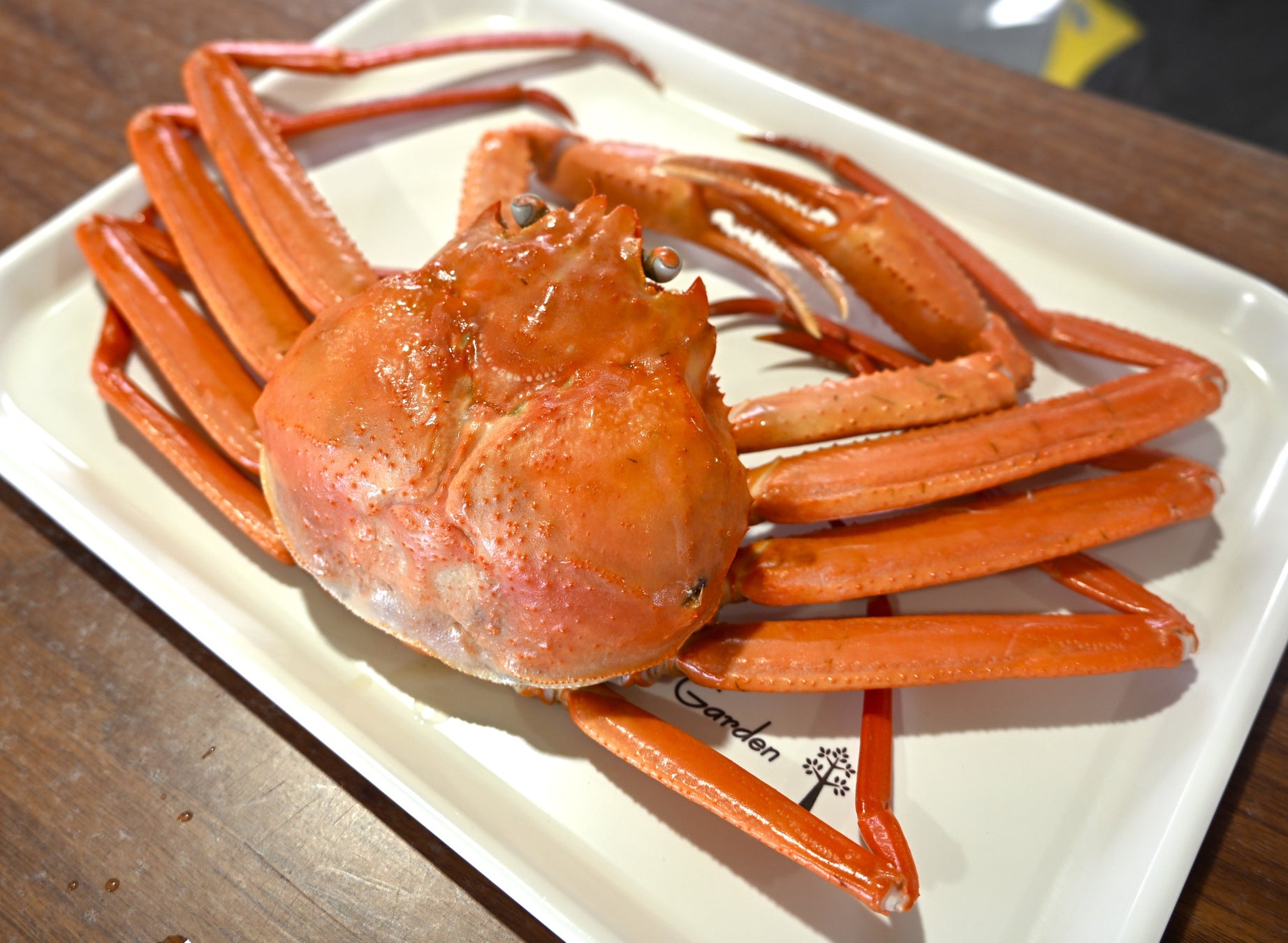 【必食】魚津グルメ＆トゥクトゥクでカニGET！？🦀✨