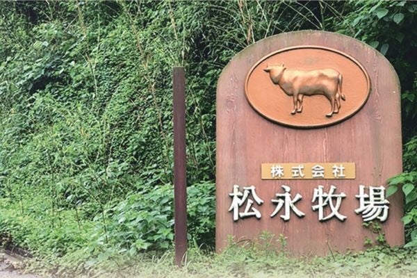 【超話題】松永和牛カレー500円！銀座でこの価格はありえない