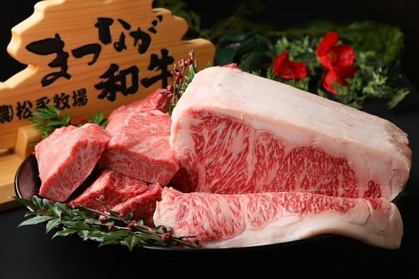 【超話題】松永和牛カレー500円！銀座でこの価格はありえない