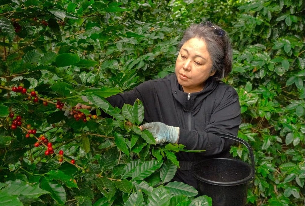 必食級⁉️国産コーヒーの未来を語る超話題シンポ☕️🔥