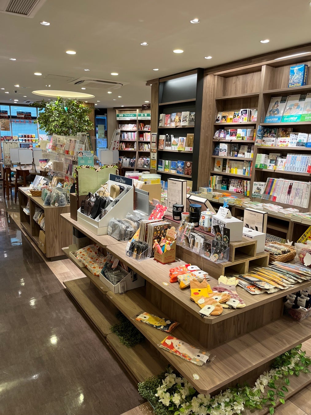 ドトール国立店で超話題!☕絵本イベント開催、親子必見!