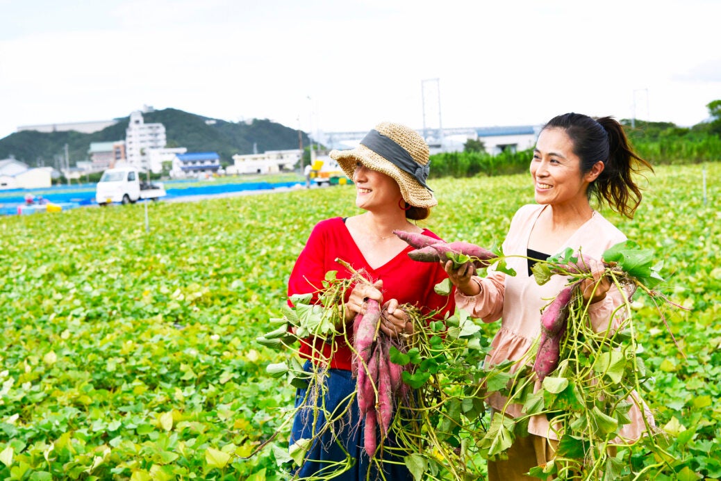 徳島なると金時🍠激ウマ芋掘り！絶景ホテルバイキング＆温泉♨️