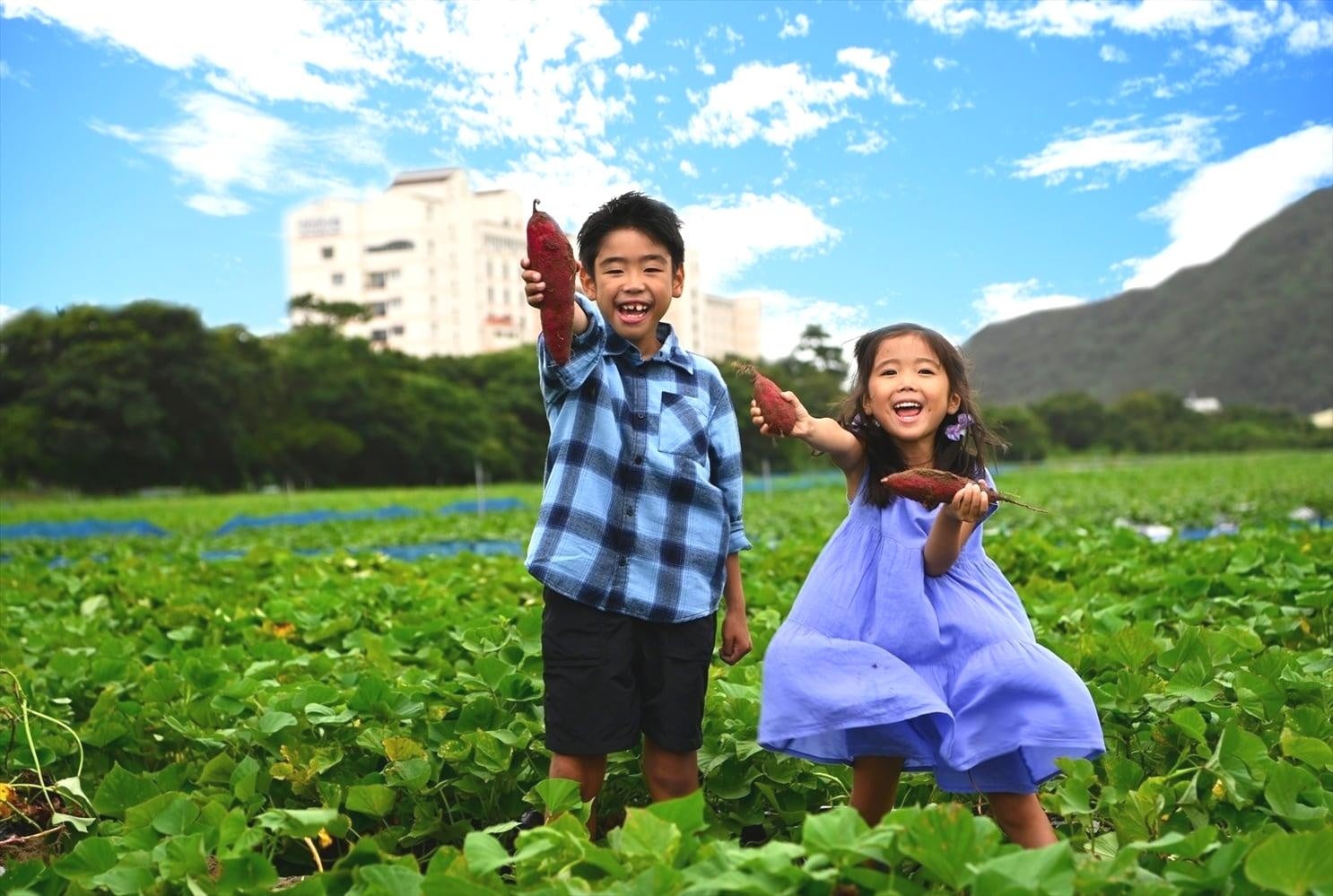 徳島なると金時🍠激ウマ芋掘り！絶景ホテルバイキング＆温泉♨️