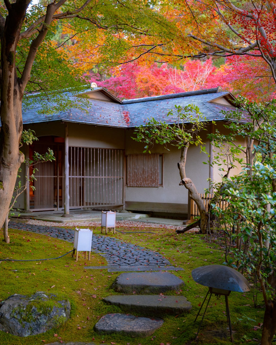 京都・村野建築で必食！秋の贅沢和ATが激ウマ確定🌰🍇