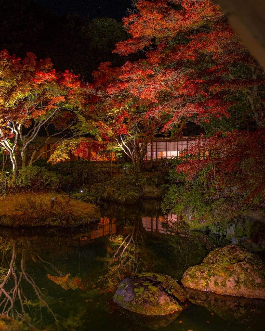 京都・村野建築で必食！秋の贅沢和ATが激ウマ確定🌰🍇