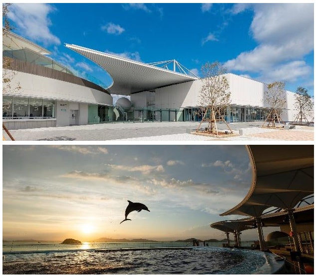徳島上陸!激カワ水族館アフタヌーンティー🐠✨