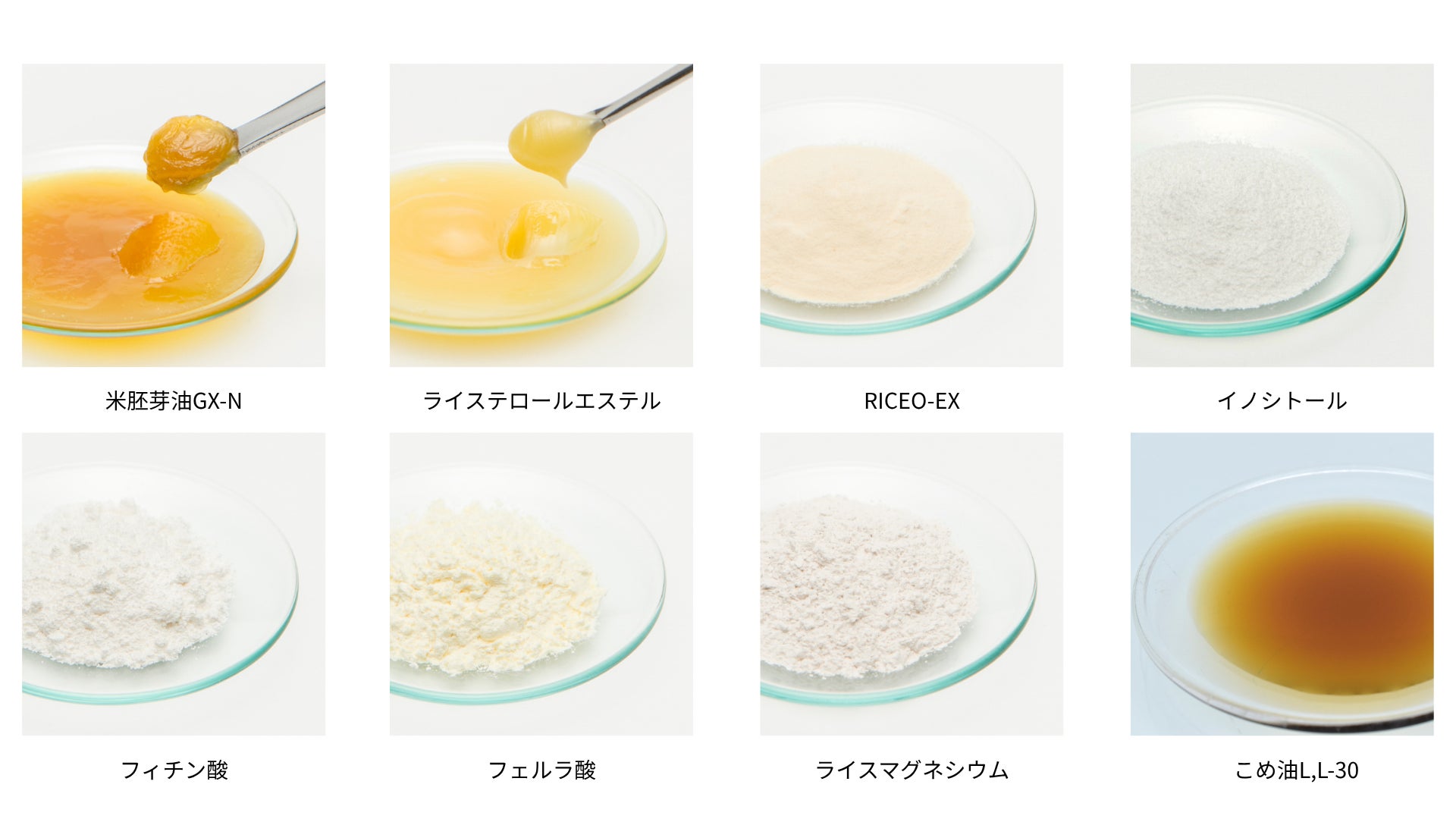 築野の米ぬか素材が超話題！食事が激ウマに😋快眠・美容も！
