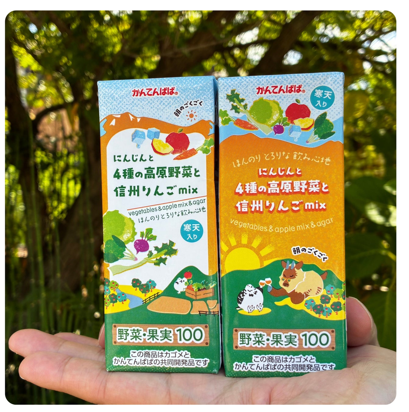 超話題！熊本へ届け！長野の激ウマミックスジュース🍹✨