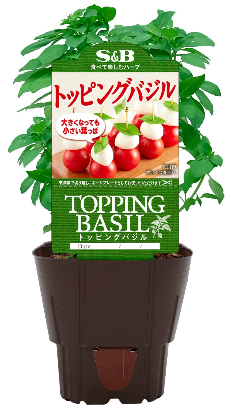 料理激ウマ確定!S&Bトッピングバジル🌿新常識すぎて必食🤤