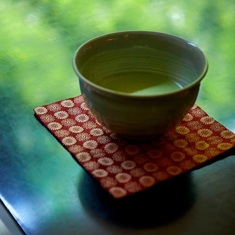 鶴屋吉信！親子で京菓子作り体験は激ウマ必食🍡✨