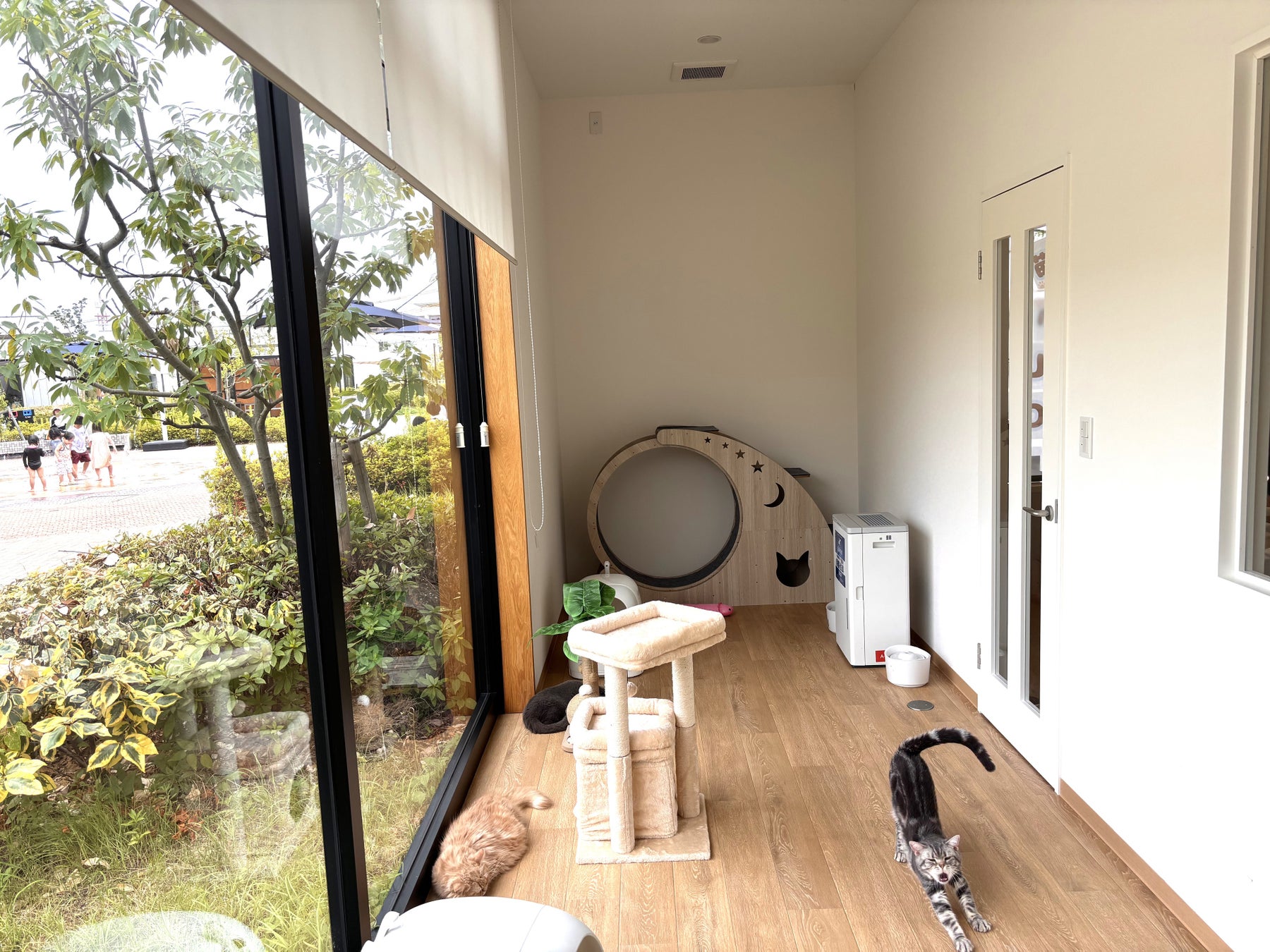 超話題！岡山に保護犬猫カフェ🐶絶品グルメも必食☕️