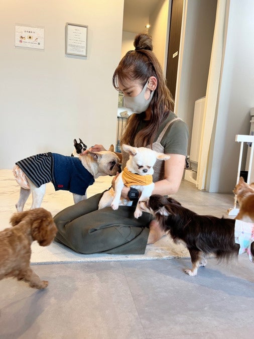 超話題！岡山に保護犬猫カフェ🐶絶品グルメも必食☕️