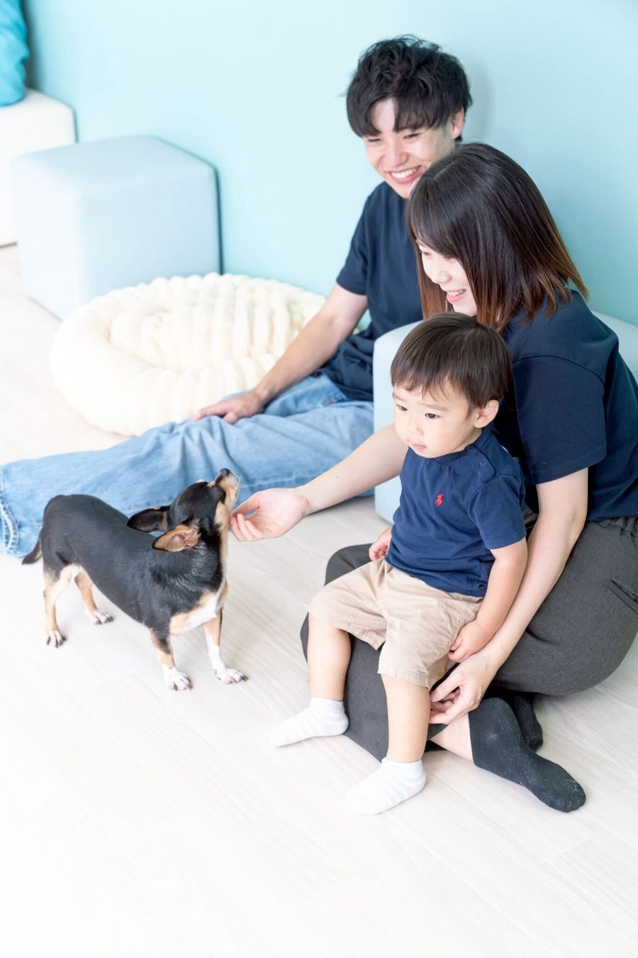 超話題！岡山に保護犬猫カフェ🐶絶品グルメも必食☕️