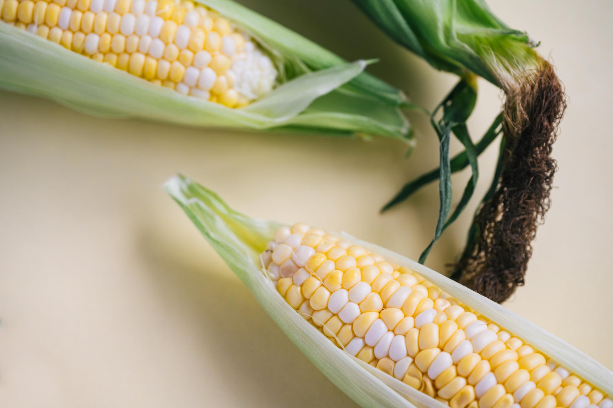 🌽激ウマ確定！蒜山ヨーグルトかき氷🍧夏限定で新発売