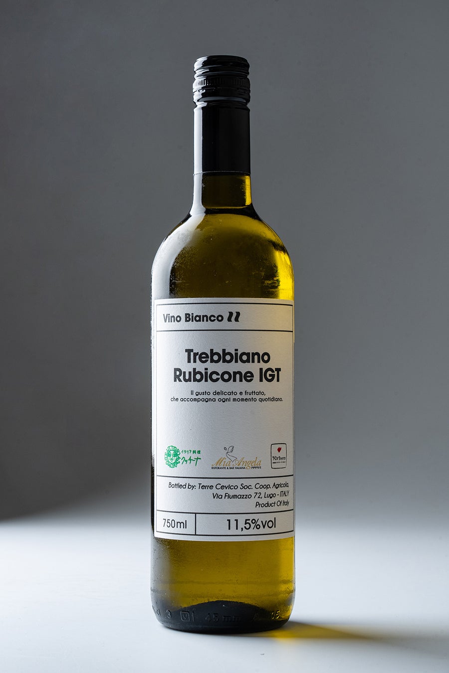 ミアボッカ🍷✨激ウマ伊ワイン、ボトル販売開始！必飲！