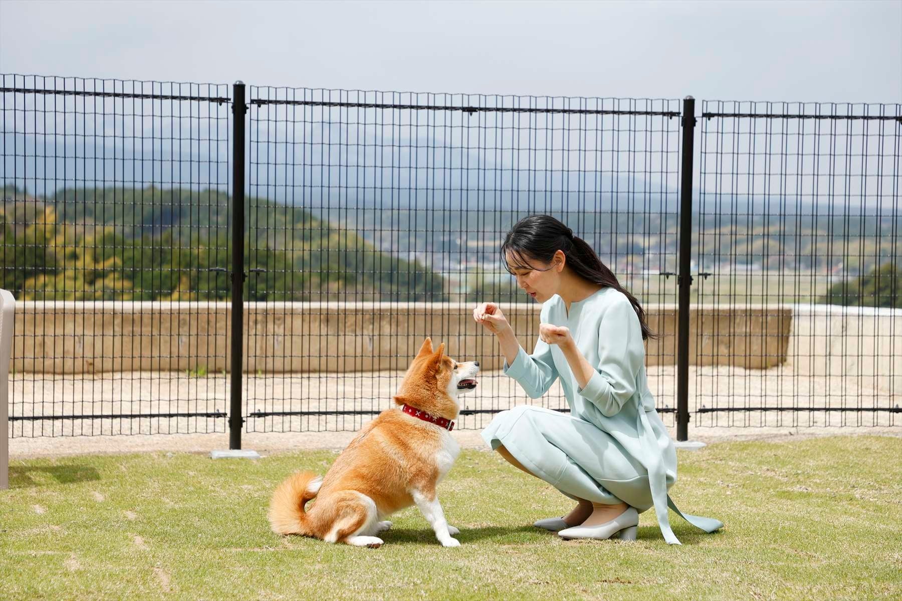 愛犬とプール！必食かき氷＆縁日夏休み🍧🐶