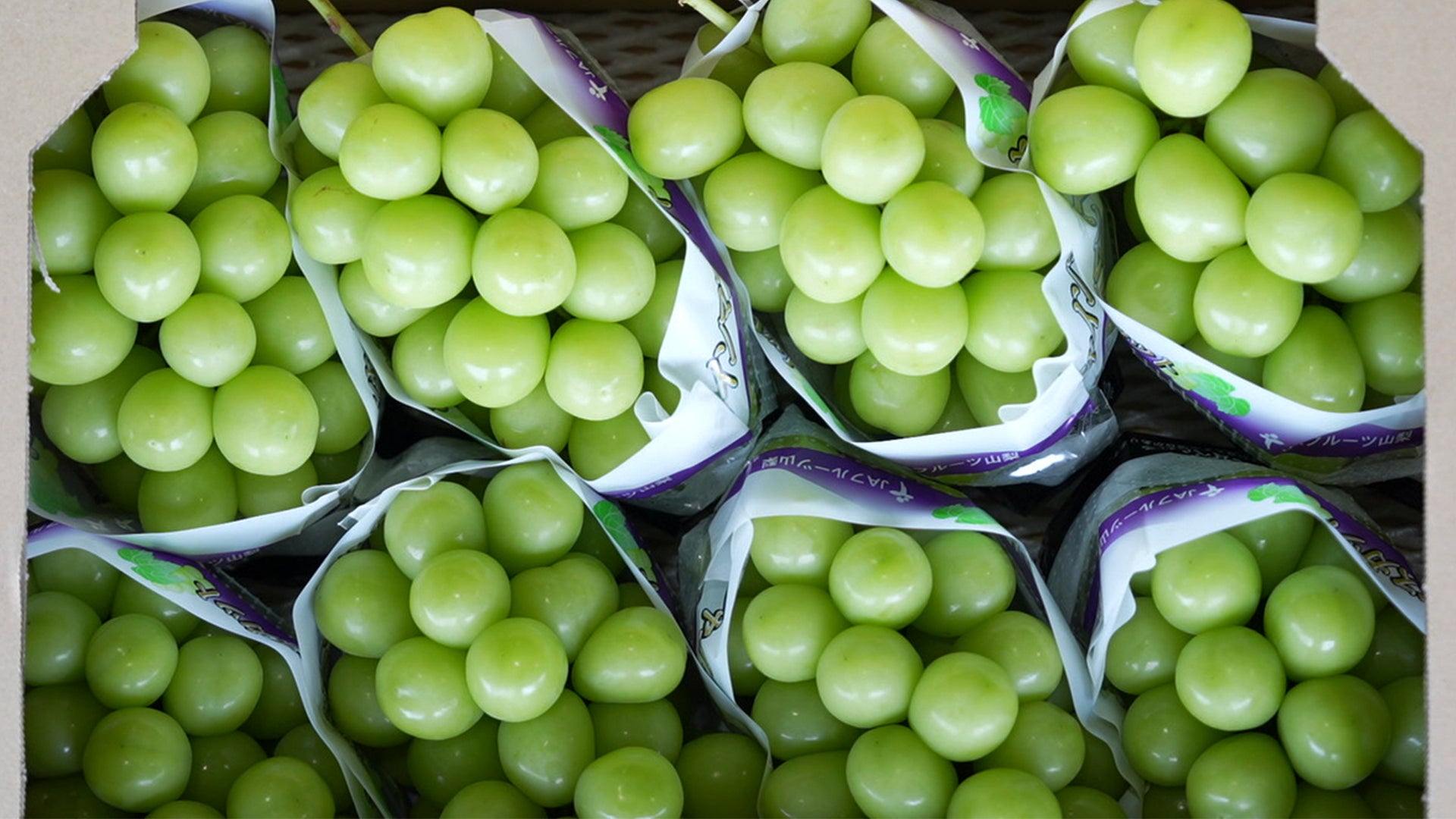 果匠とびくま🍇至福ロール！贅沢ぶどうで激ウマ確定✨