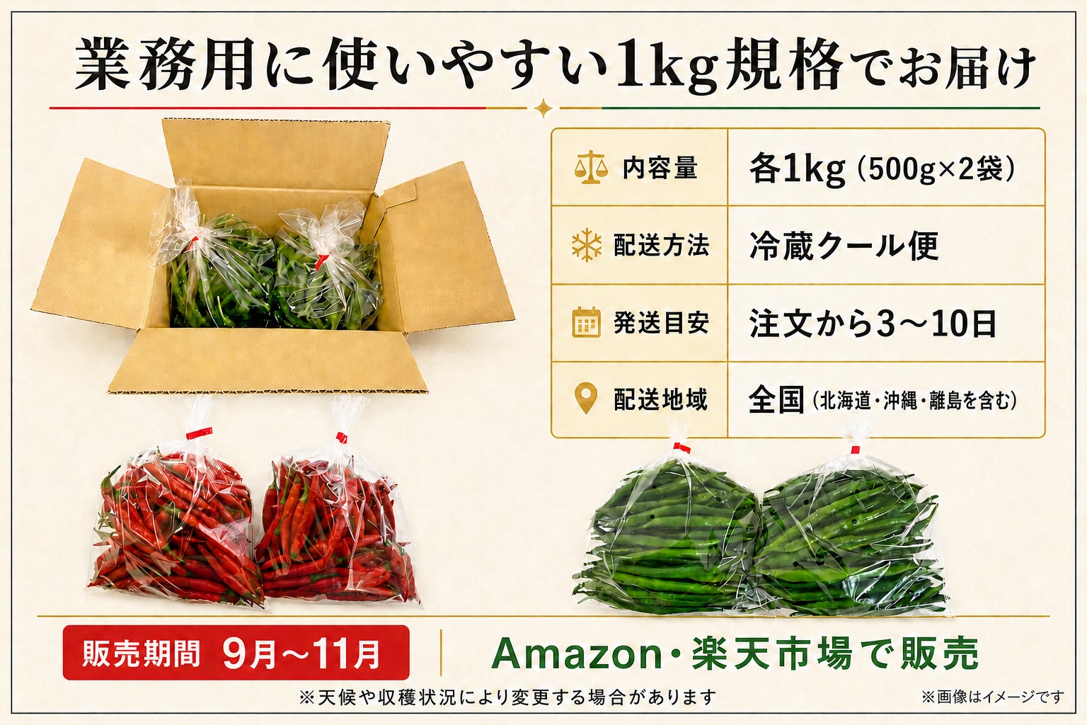 【超話題】九州産生唐辛子！プロも使う旬の味🌶️🔥