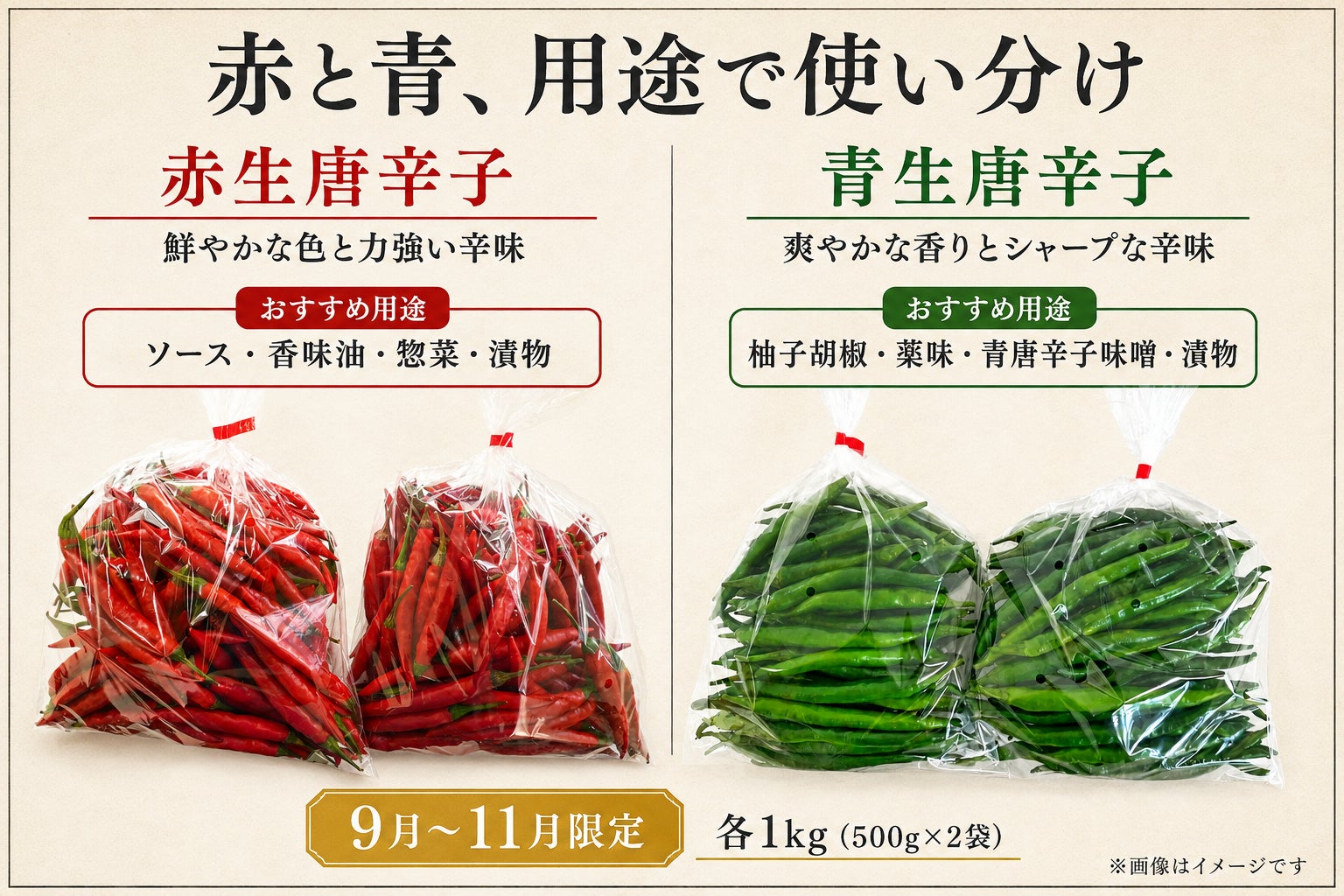 【超話題】九州産生唐辛子！プロも使う旬の味🌶️🔥