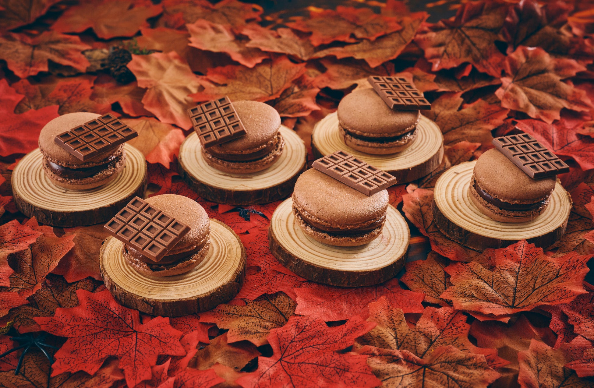 必食!妖艶チョコビュッフェ「ハロウィンチョコラブ」開幕🎃🍫