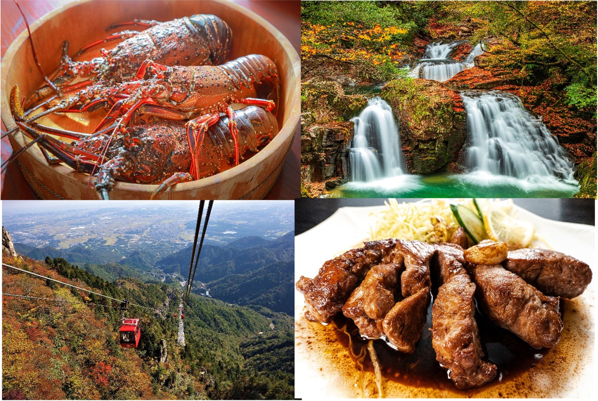 【三重の秋】必食！絶景紅葉＆激ウマグルメ✨