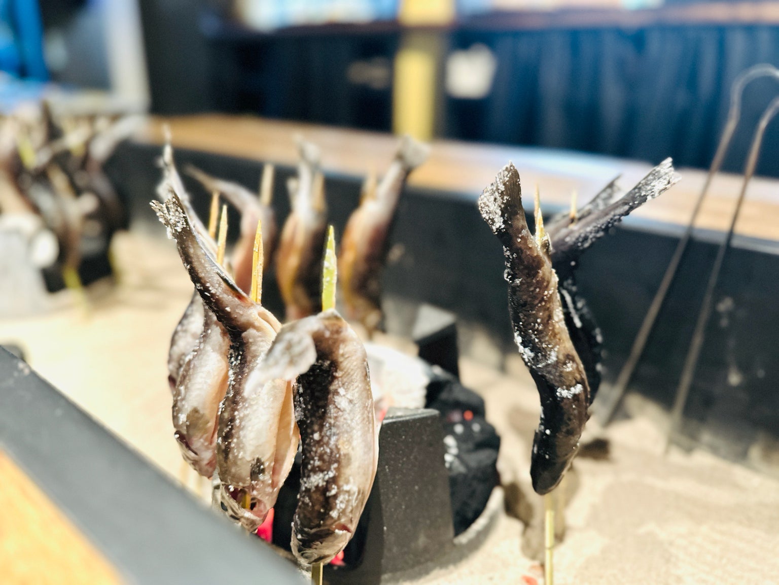 神楽坂囲炉裏焼肉祇園🏮10/1激ウマ肉に悶絶必至🍖