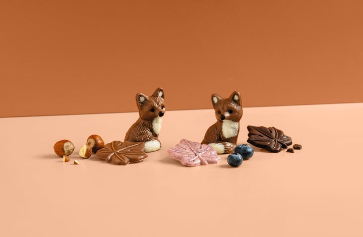 激カワ必食！レダラッハの森キツネチョコ🦊🍫