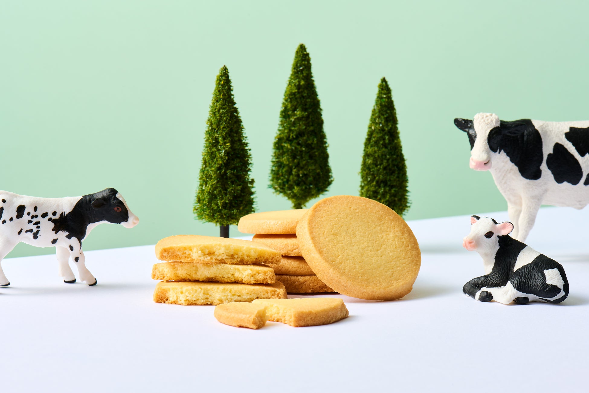 あさぎり牛乳が全国に！必食ミルクスイーツ催事🐮💖