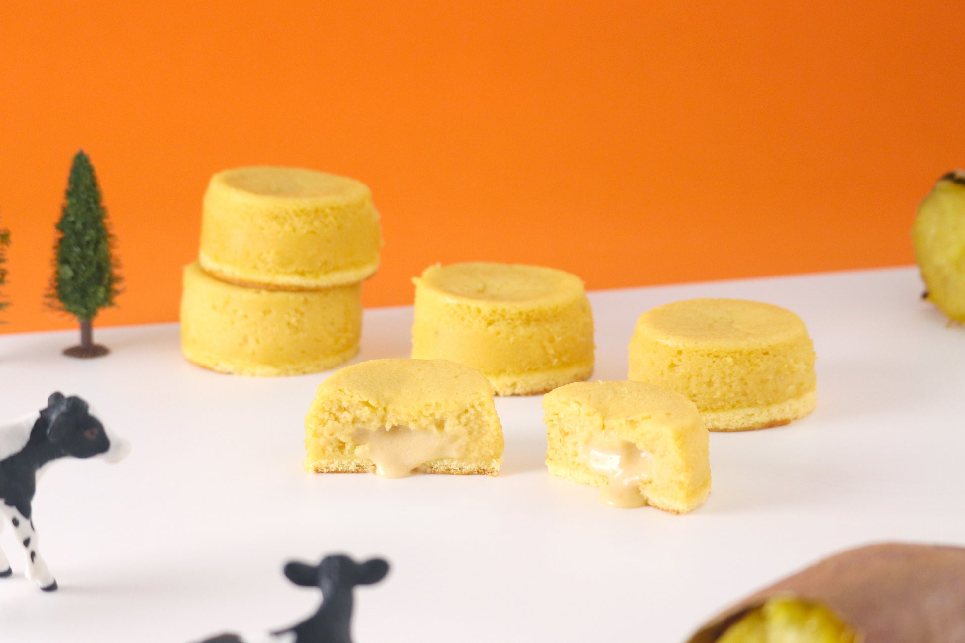 9/8阪神梅田！あさぎり牛乳限定試食が超話題🥛🎉