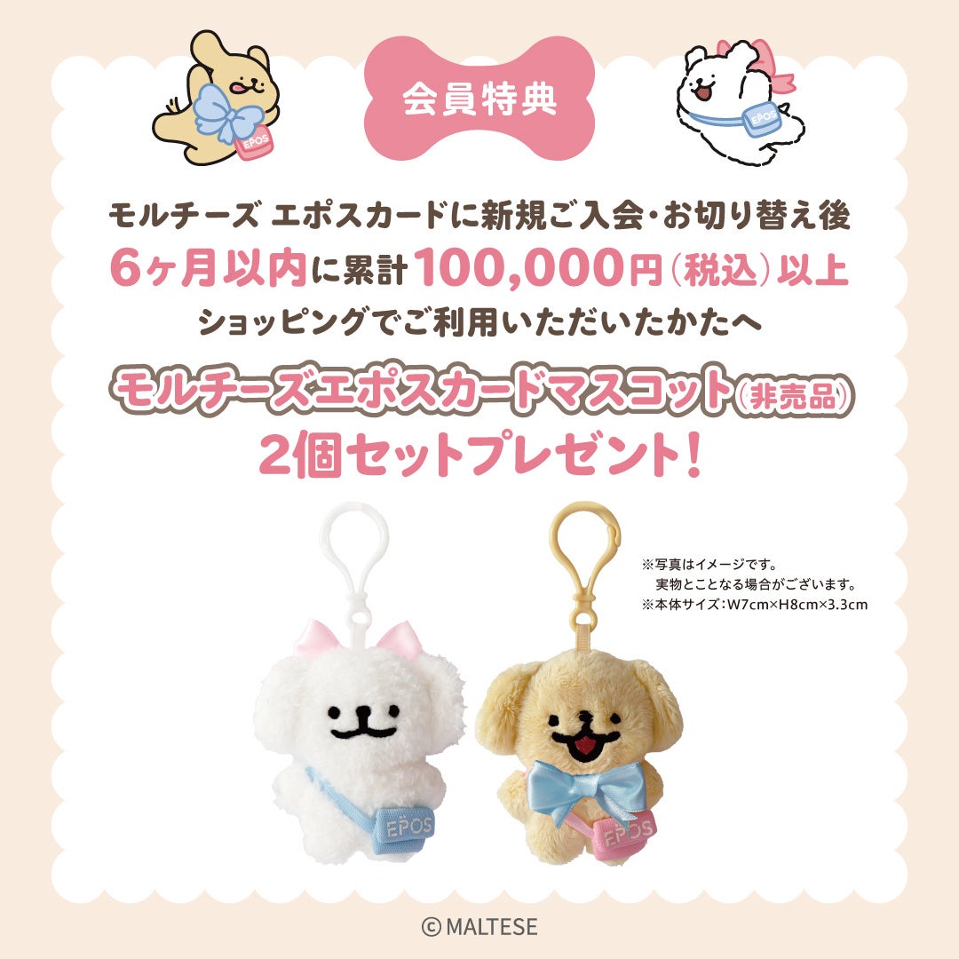 モルチーズ」激ウマ確定！有楽町・京都で限定POPUP😋