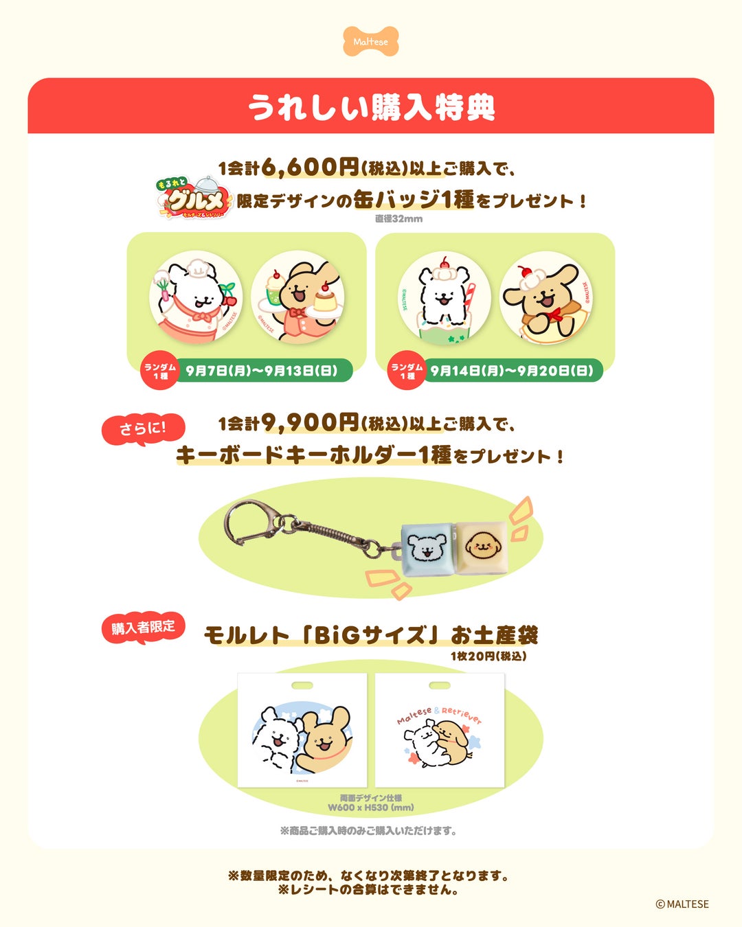 モルチーズ」激ウマ確定！有楽町・京都で限定POPUP😋