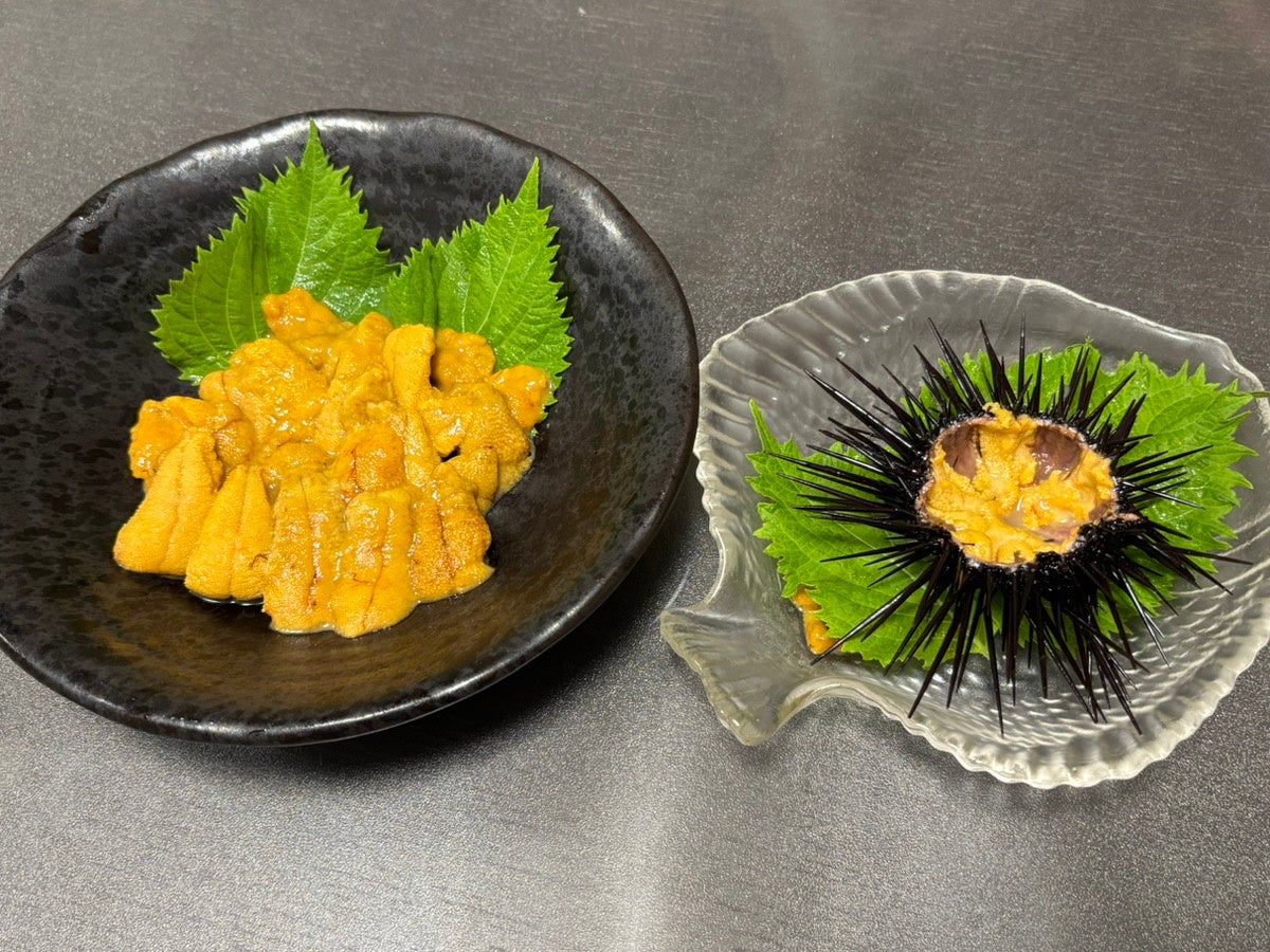 激ウマ確定！学生ウニ寿司🍣餌で味が激変？UNI1グランプリ決