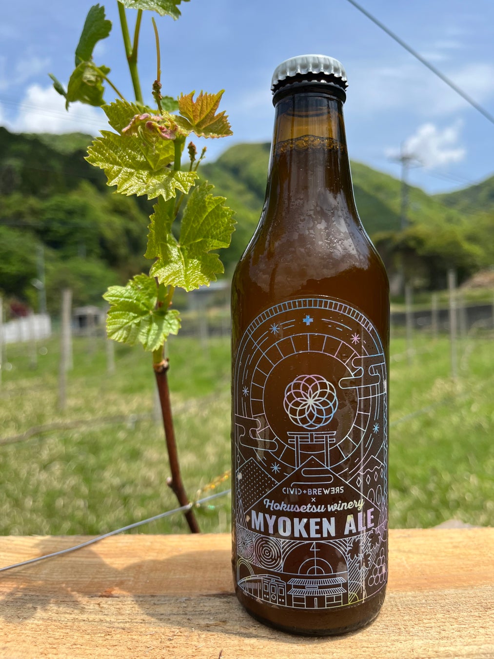 激ウマ確定！昨年1H完売「青野ダム貯蔵酒」フェア開催🎉