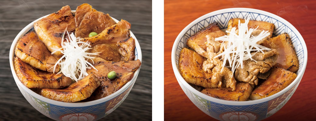 長野に爆誕!豚丼屋TONTON東御店10/2!必食の激ウマ豚