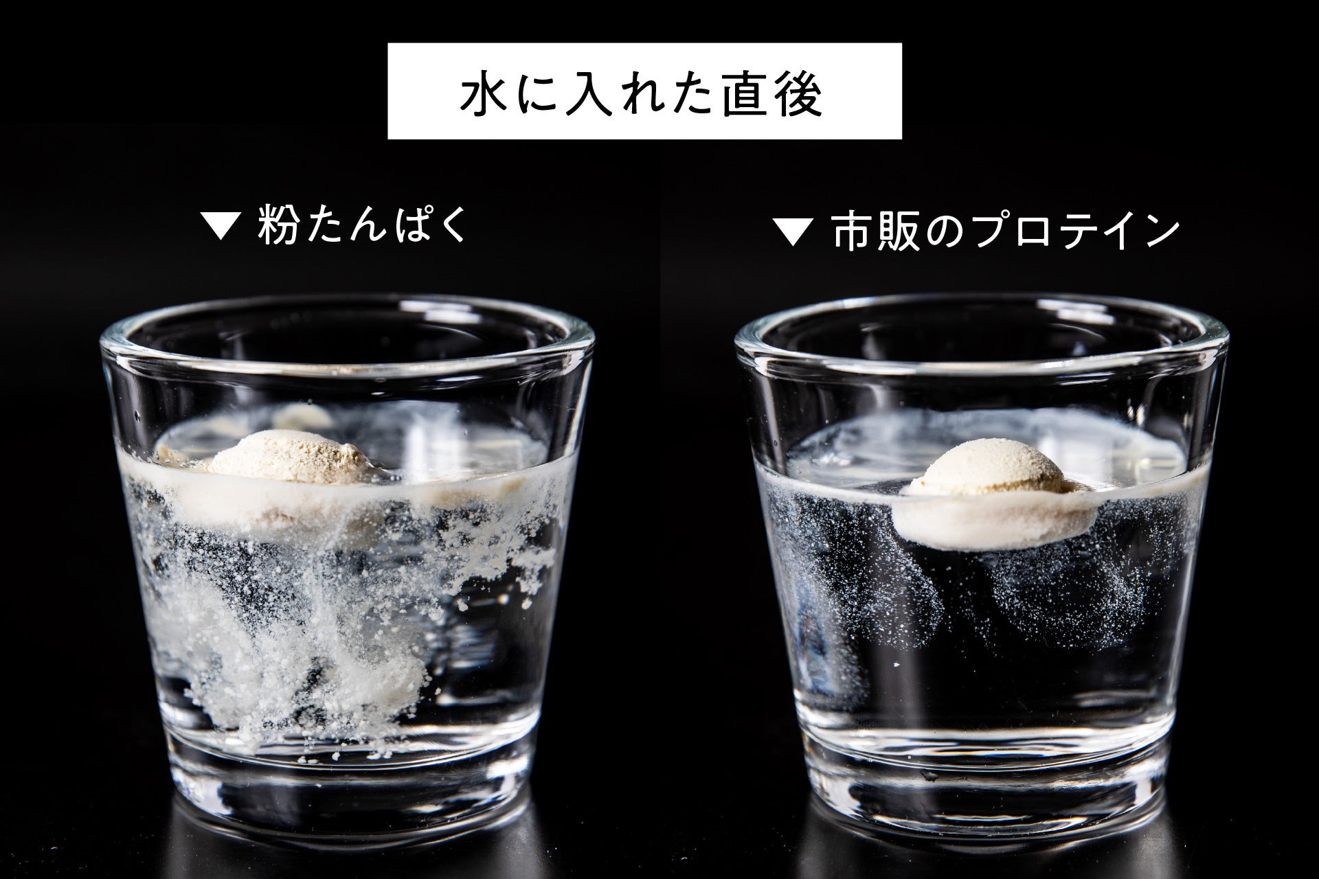 超話題！食事プロテイン「ちょこっと粉たんぱく」激ウマ確定😋
