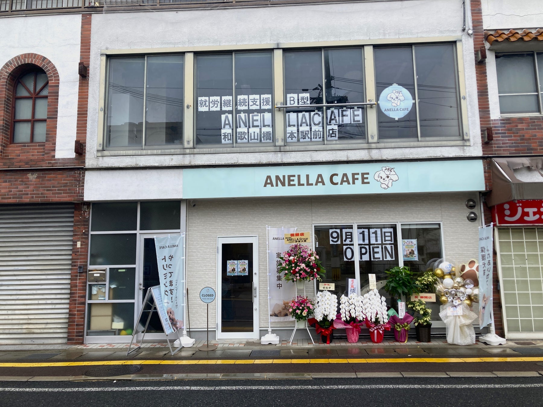 和歌山初！アネラカフェ🐶🐾 保護犬猫カフェの激ウマグルメ必食