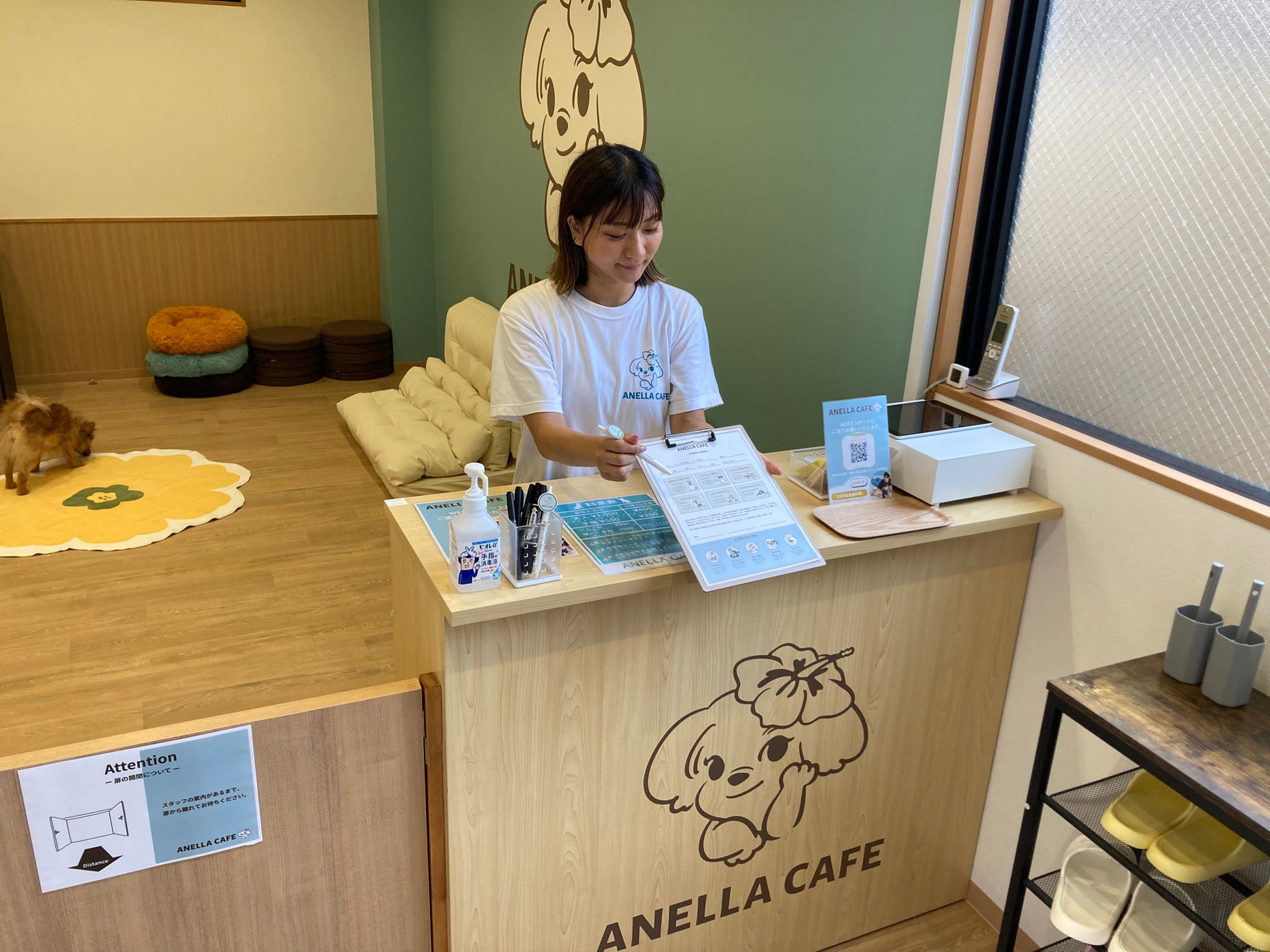 和歌山初！アネラカフェ🐶🐾 保護犬猫カフェの激ウマグルメ必食