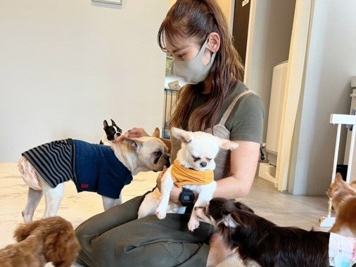 和歌山初！アネラカフェ🐶🐾 保護犬猫カフェの激ウマグルメ必食