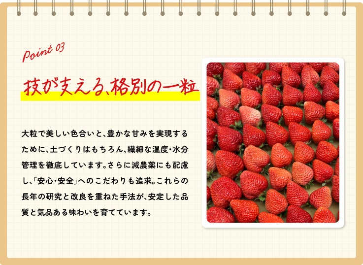 蒟蒻畑あまおう苺味！必食の神スイーツ降臨🍓✨