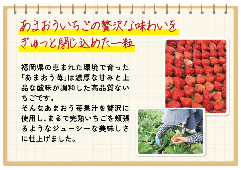 蒟蒻畑あまおう苺味！必食の神スイーツ降臨🍓✨