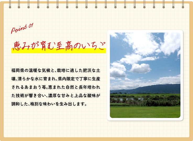 蒟蒻畑あまおう苺味！必食の神スイーツ降臨🍓✨