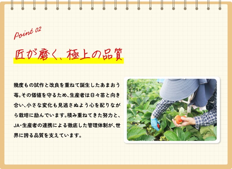 蒟蒻畑あまおう苺味！必食の神スイーツ降臨🍓✨