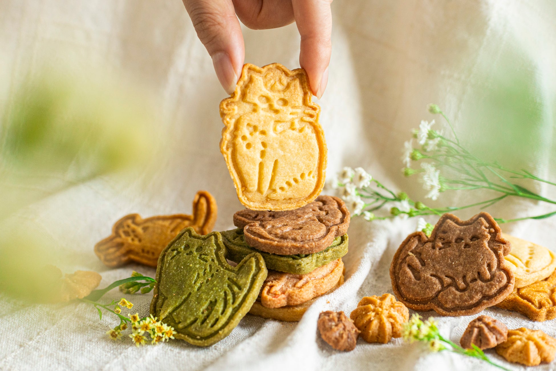 激ウマ確定!猫支援の新作クッキー缶が超話題😻✨