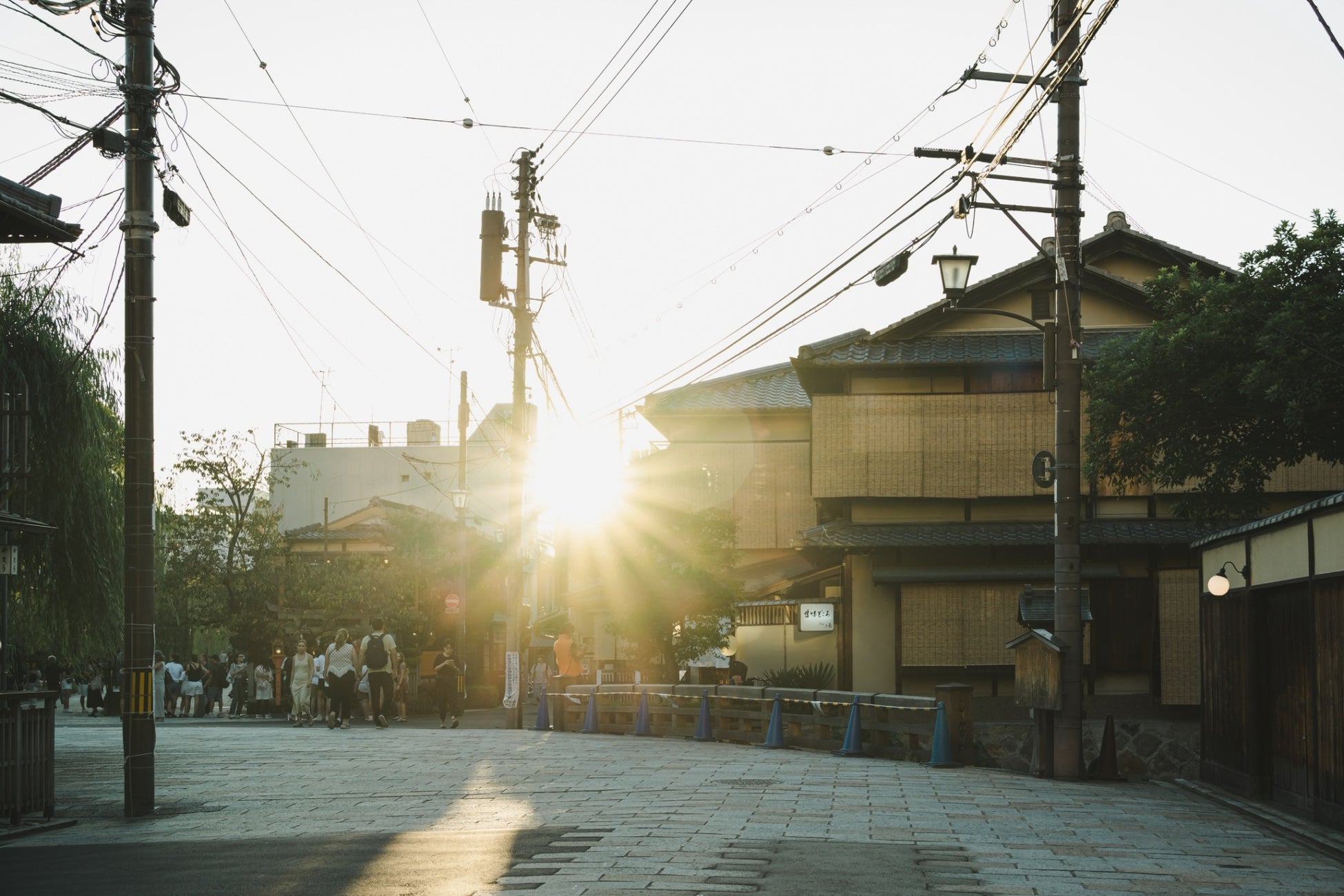 京都祇園に「れんぞう」爆誕!激ウマ京焼肉は必食🍖🔥
