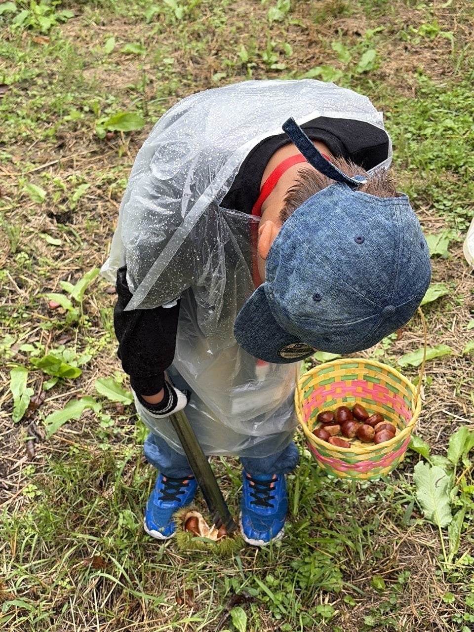 超話題！👦こどもが接客！丹波栗どら焼きは必食✨