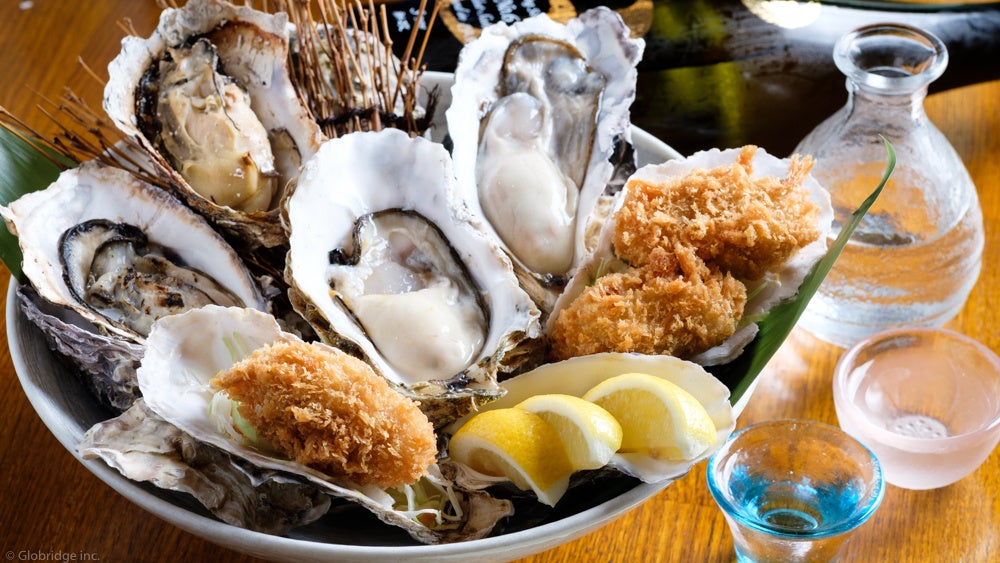 かき家こだはる新橋！必食の激ウマ牡蠣鍋🦪✨山盛り大粒で予約殺