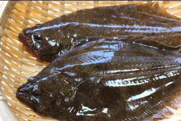 秋の旬魚!激ウマ確定料理教室で食欲の秋満喫😋🐟