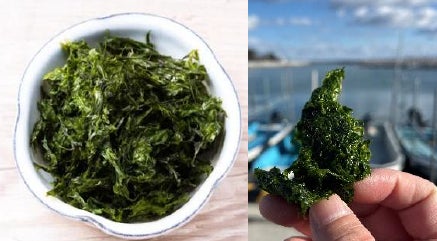 秋の旬魚!激ウマ確定料理教室で食欲の秋満喫😋🐟