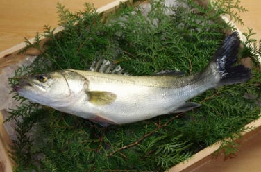 秋の旬魚!激ウマ確定料理教室で食欲の秋満喫😋🐟