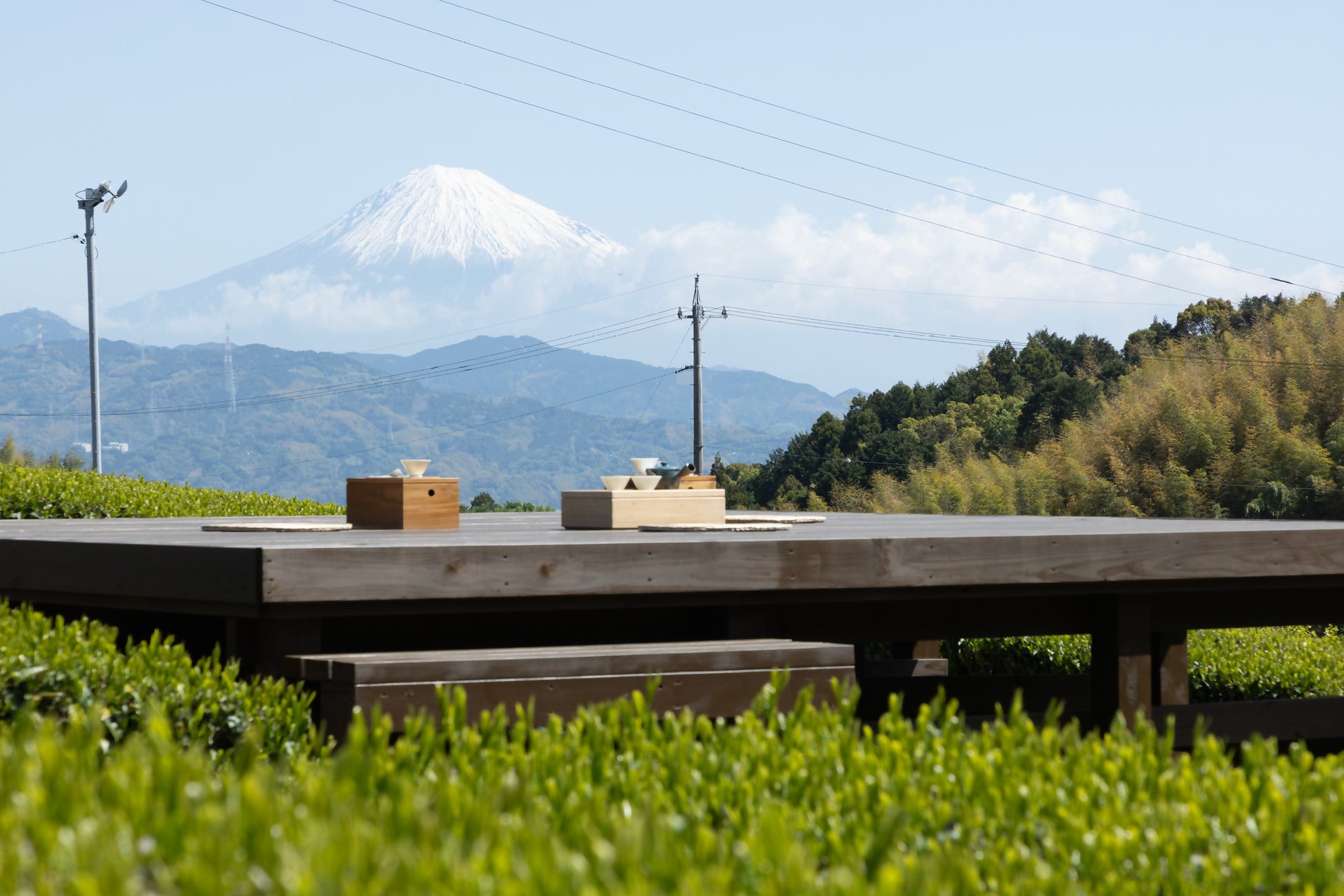 【激ウマ確定】Z世代注目の静岡茶×スイーツ！するがヌーン茶で